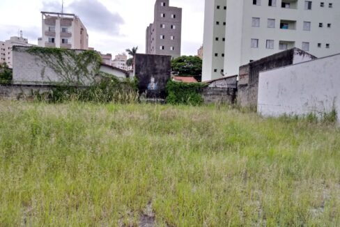 WhatsApp Image 2022-06-08 at 18.33.57 (1)