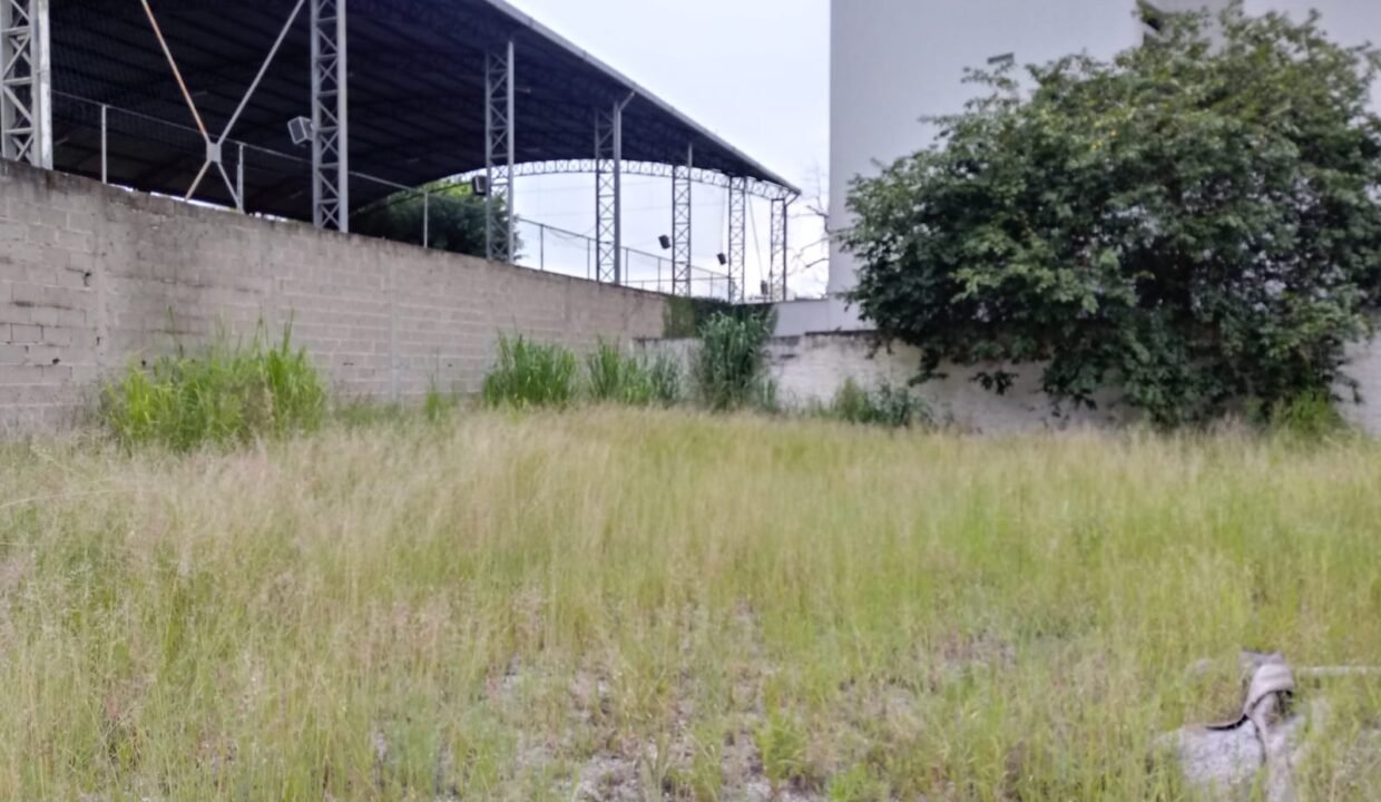 WhatsApp Image 2022-06-08 at 18.33.57 (3)