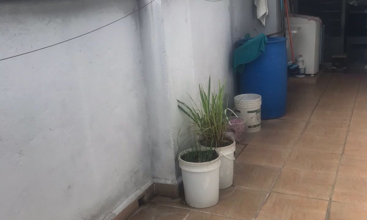 WhatsApp Image 2022-07-19 at 16.08.37 (1)